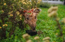 «Жвачный», 2017 Европейская косуля. - см ветки, мох, черноземный грунт, трава, смола